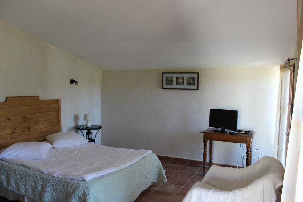 B&B Pietra-Monetta Pietra Moneta Rom bilde