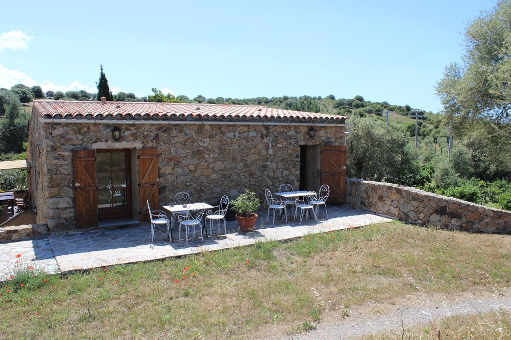 B&B Pietra-Monetta Pietra Moneta Rom bilde